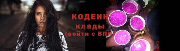 прущие грибы Богородск