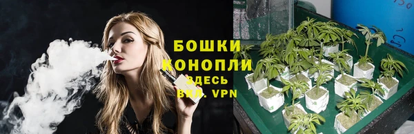 винт Богородицк