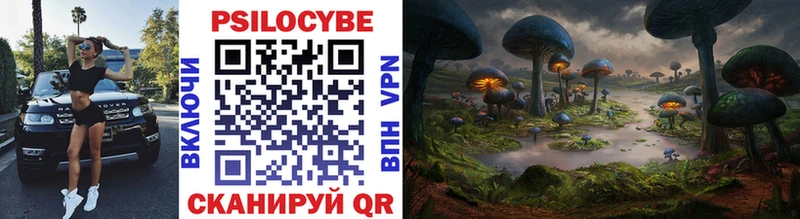 Галлюциногенные грибы Psilocybine cubensis  Кузнецк 