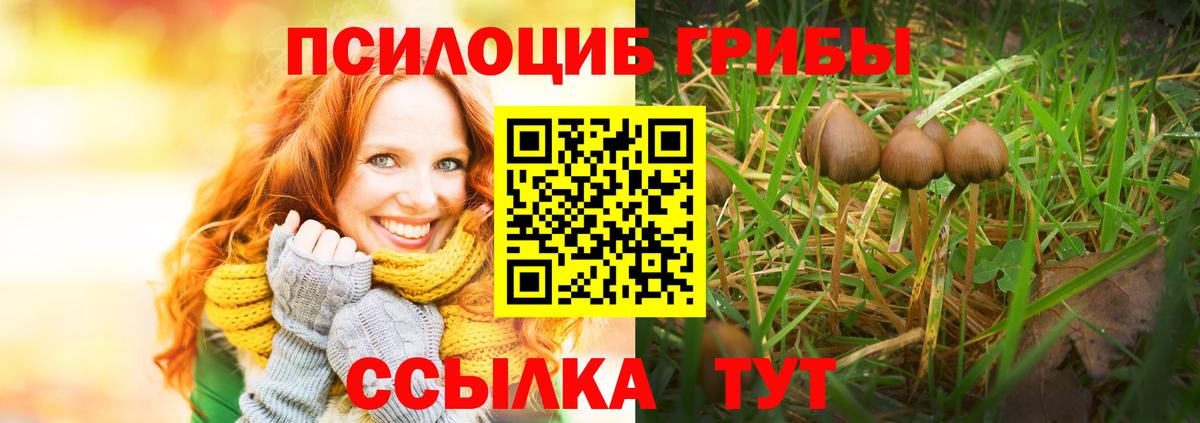 Кузнецк  Псилоцибиновые грибы Psilocybe  Вход с VPN  Галлюциногенные грибы мухоморы 