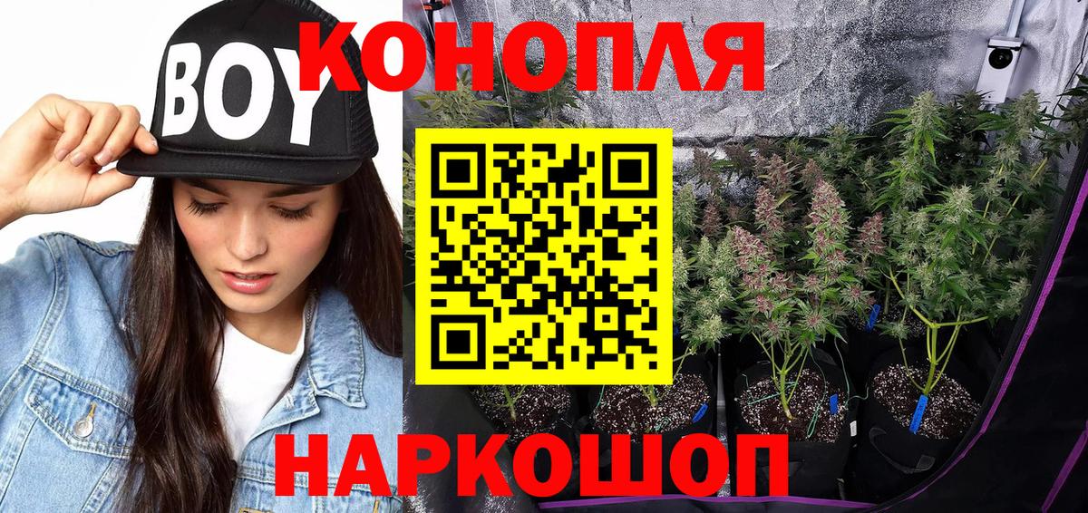 Марихуана THC 21%  Вход с VPN  Кузнецк  Бошки марихуана MAZAR  Шишки марихуана ГИДРОПОН 